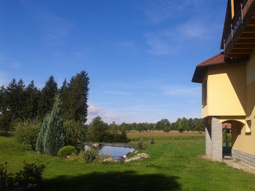 Penzion Stary Dvur Hotel Nové Dvory Buitenkant foto